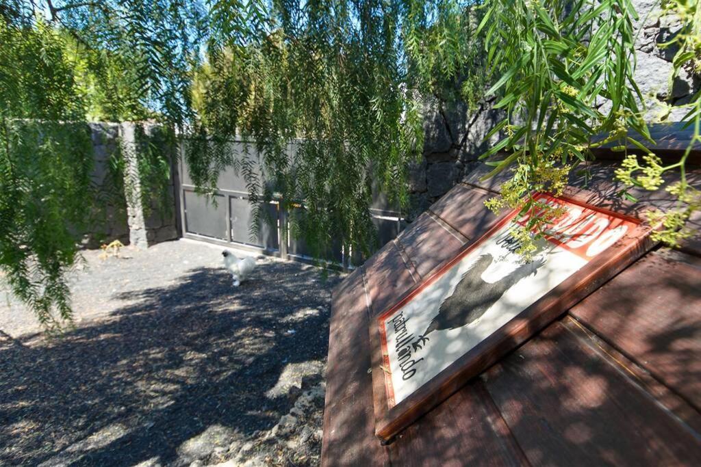 Villa Casa Gasparini Tahiche Esterno foto